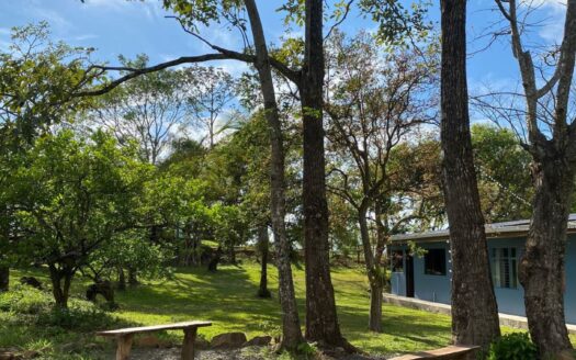 Marbella Sunsets House