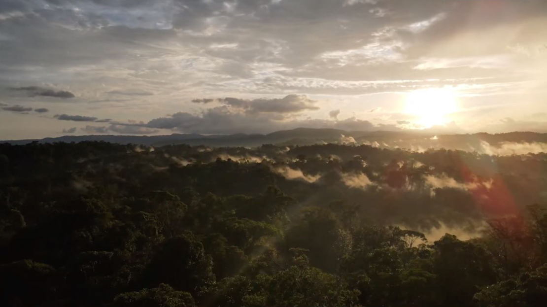 Stunning Eco-tourism And Conservation Land In Costa Rica | For Sale