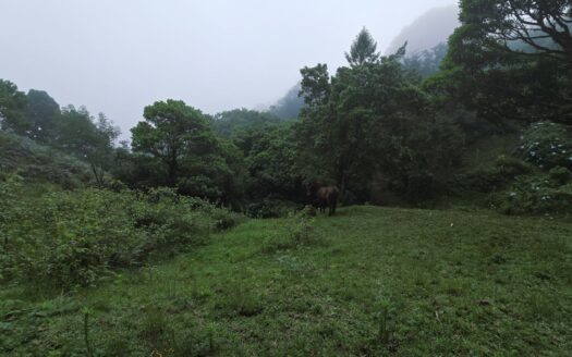 El Guarco