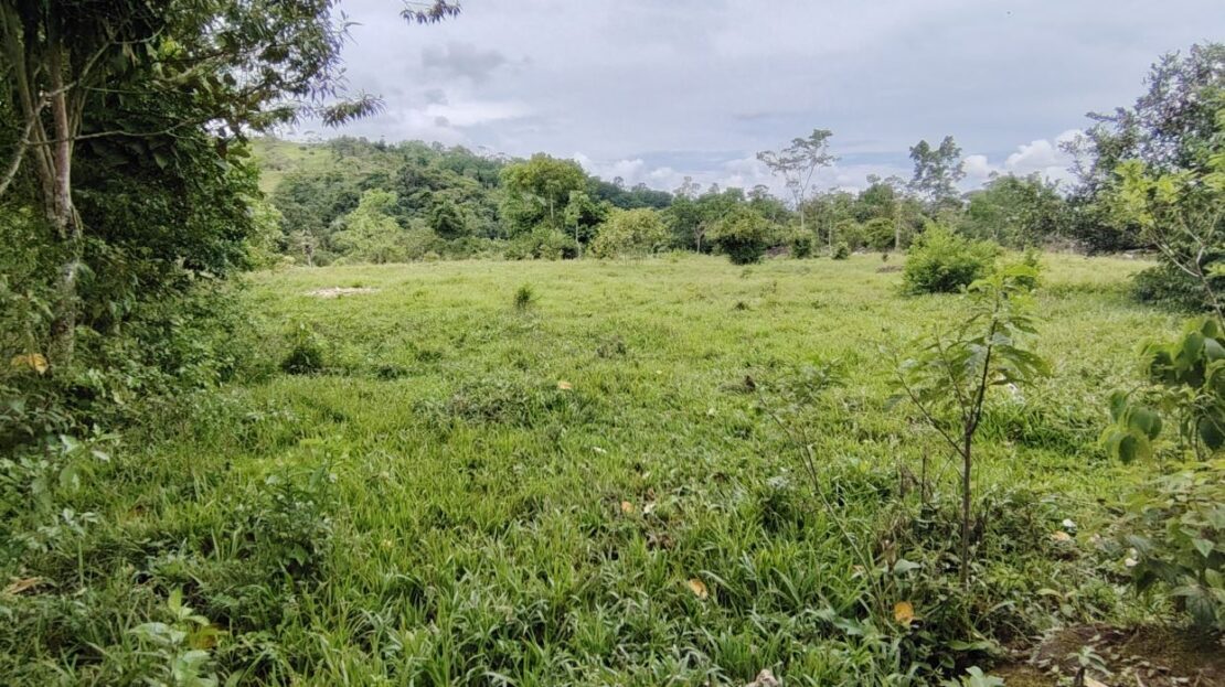 Great Chirripó View Property For Sale - 1ha Flat Land with Spring