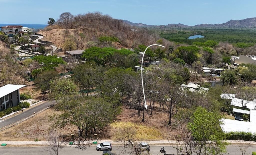Tamarindo