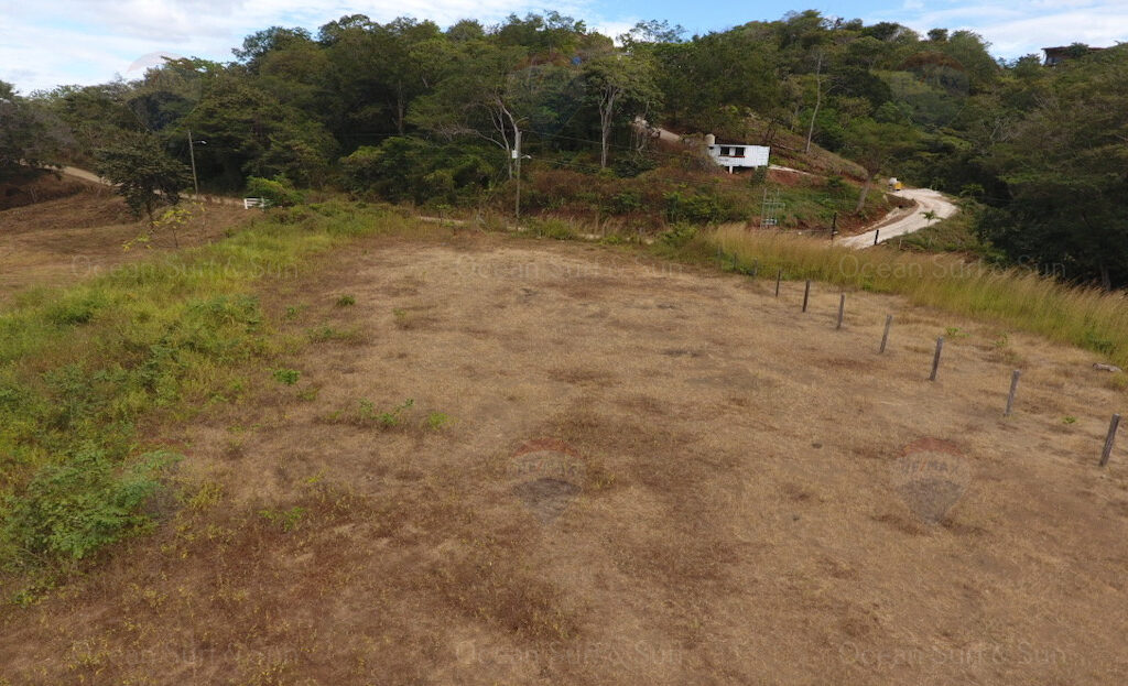 Tamarindo