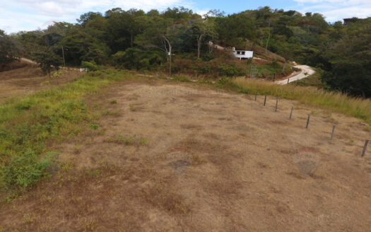 Tamarindo