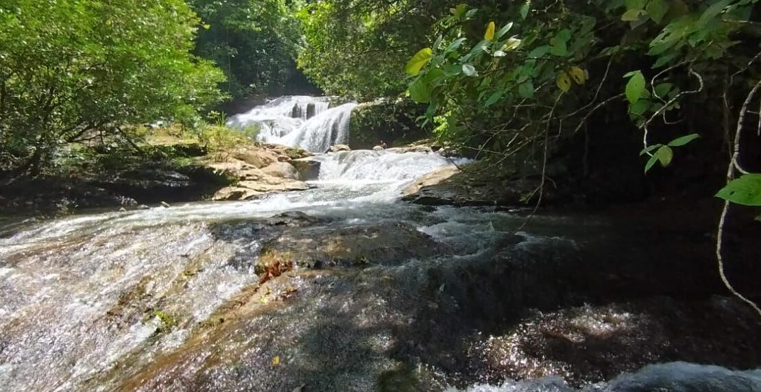 For Sale - Baru Eco Sanctuary - 60 Ha