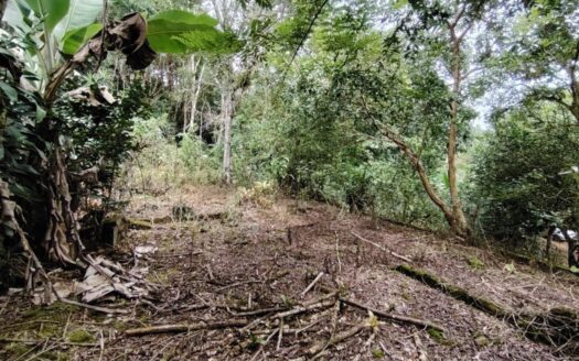 Secluded Lot For Sale – Nature, Privacy & Convenience In Pérez Zeledón