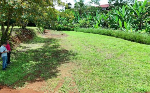 Exclusive & Rare Opportunity: Build Your Dream Home on This Stunning 800 m² Lot Near Downtown!