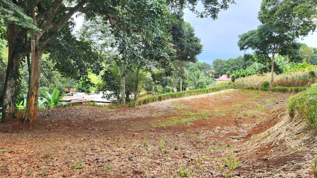 891m of usable land with a stream and trees