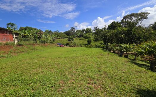 Stunning Lot For Sale In The Heart Of Cajón, Pérez Zeledón.
