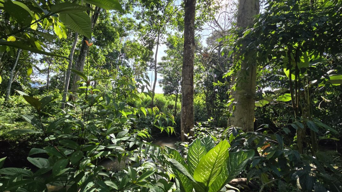 Costa Rica Real Estate