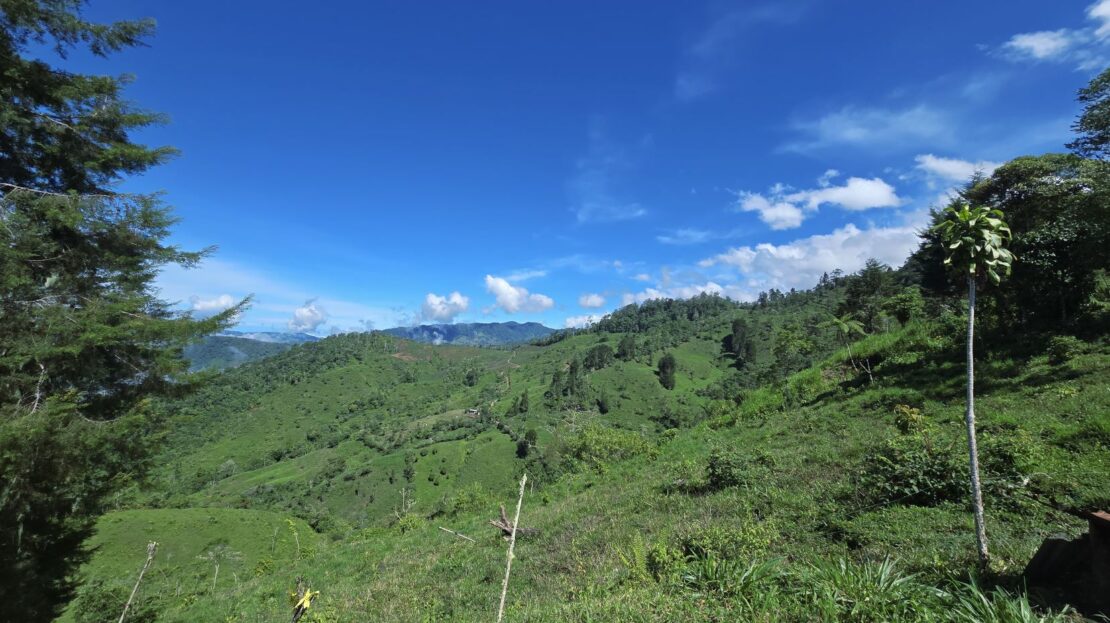 Costa Rica Real Estate