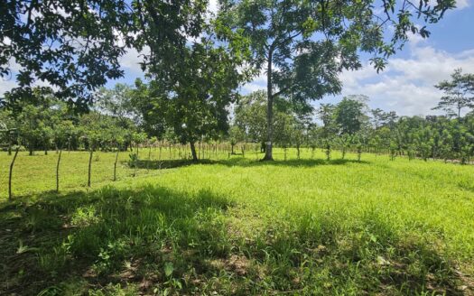 San Carlos -  La Fortuna