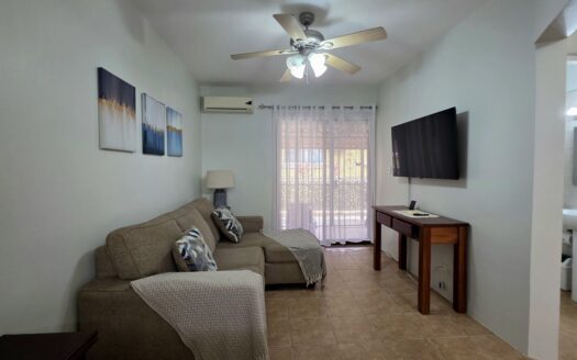 Pura Vida condo #29