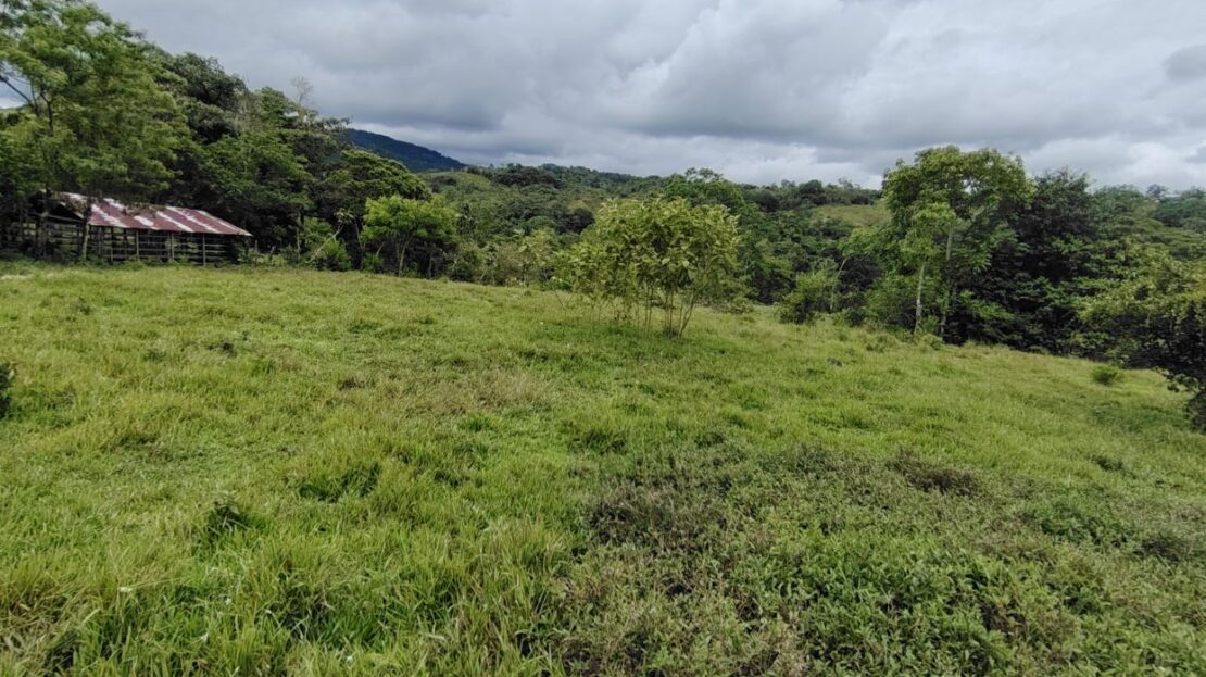 Costa Rica Real Estate