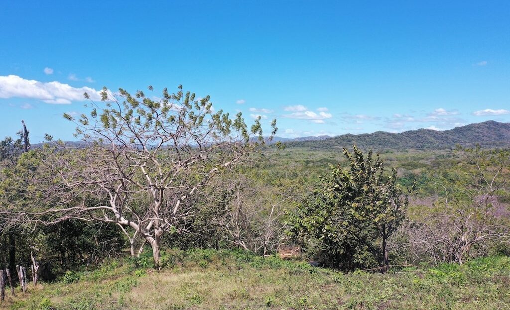 Costa Rica Real Estate