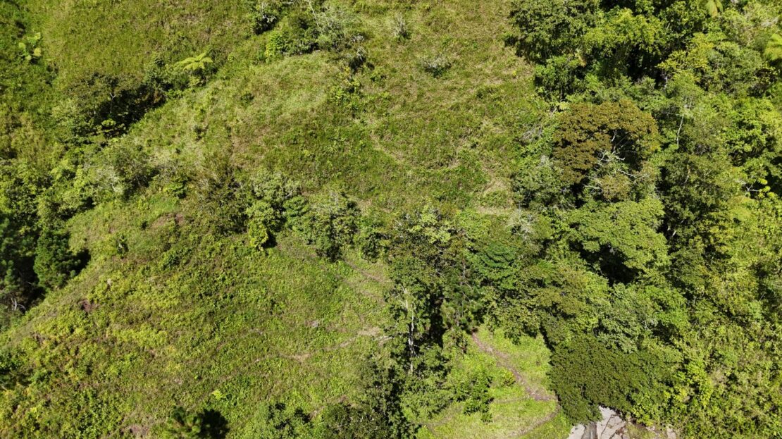Costa Rica Real Estate
