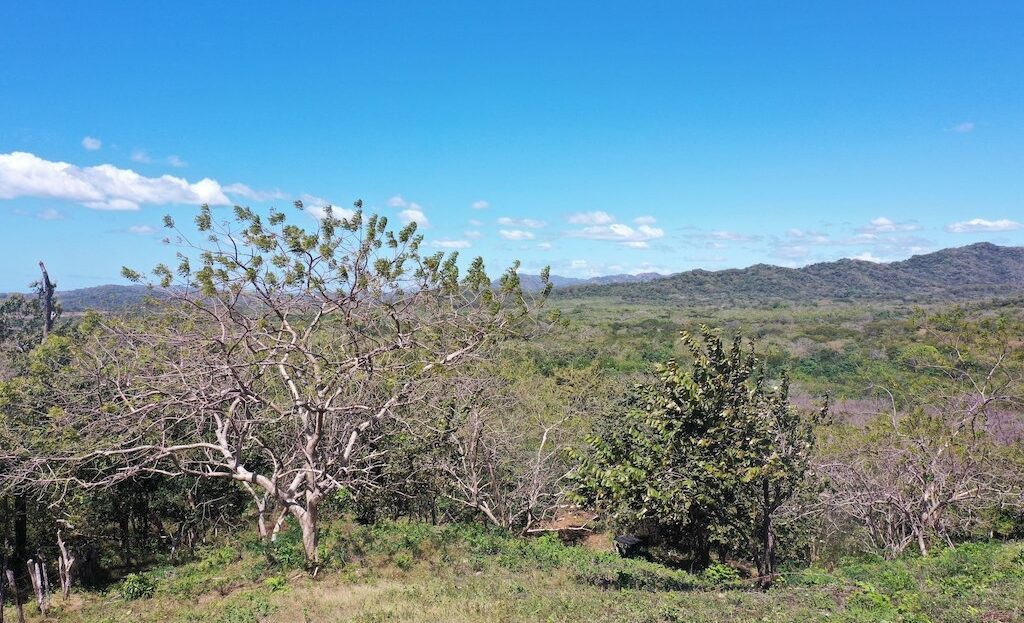 7.1 hectares lot with amazing ocean view