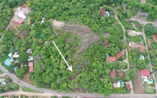 Lote Boutino ~ Residential/Commercial 3,000m2 Lot