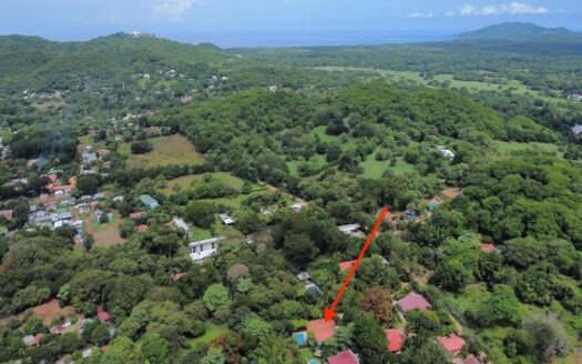 Tamarindo