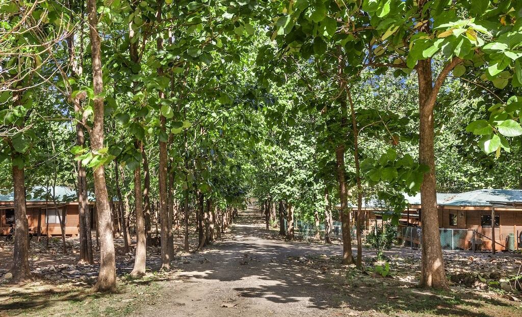 Costa Rica Real Estate