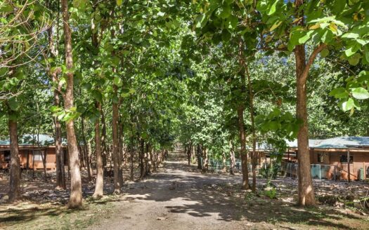 Avellanas Secrets ~ Natural Sanctuary