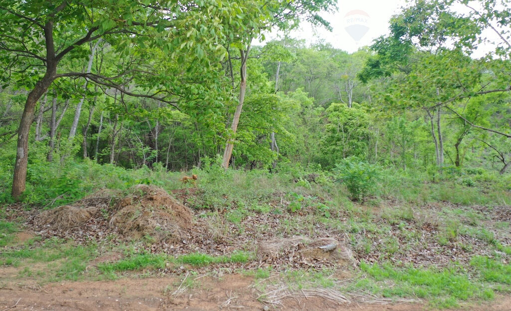 Lote Shane ~ Prime Coastal Lot in Matapalo