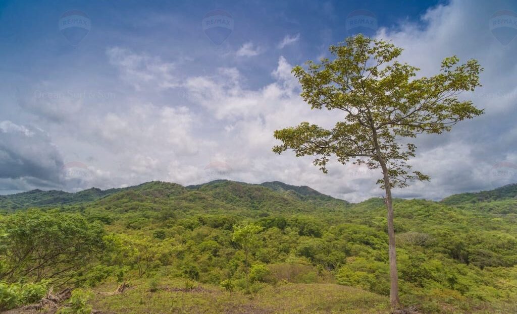 Finca Los Tres Leches