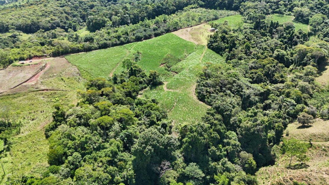 Costa Rica Real Estate