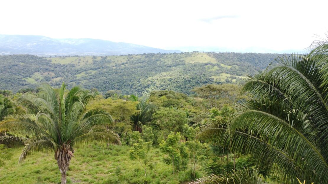 valley views