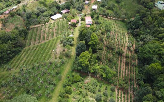 Exclusive Farm for sale with two beautiful Homes For Sale In The Heart Of Cajon, Perez Zeledon
