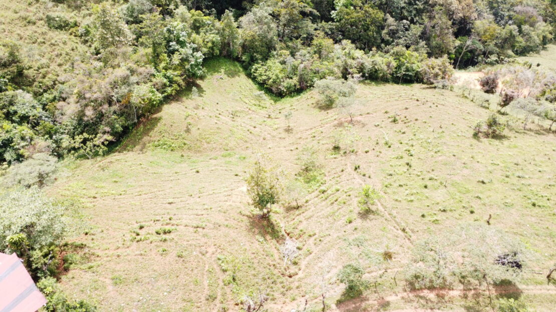 private and peaceful large lot with amazing view