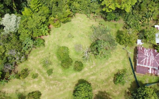 Discover Your Private Oasis: 10,000m2 Gem with Dual Homes in Tinamaste!