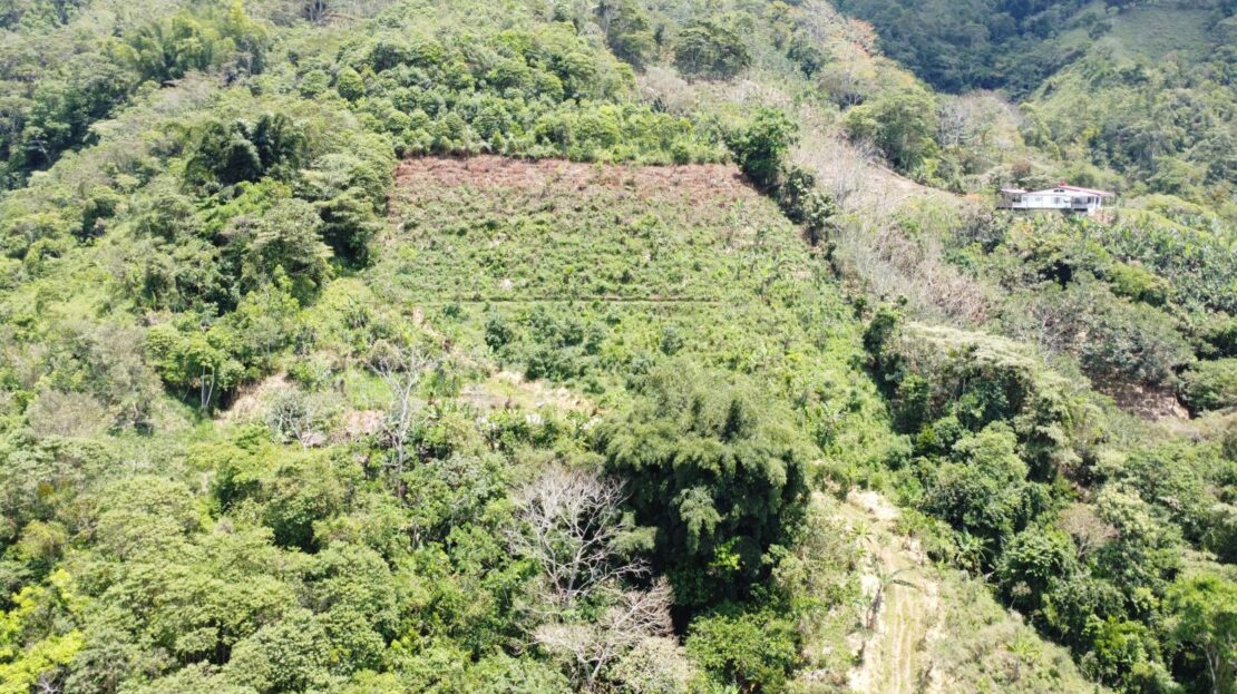 Costa Rica Real Estate