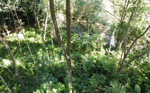 Retreat to your own private forest and stream: perfect for a cabin!