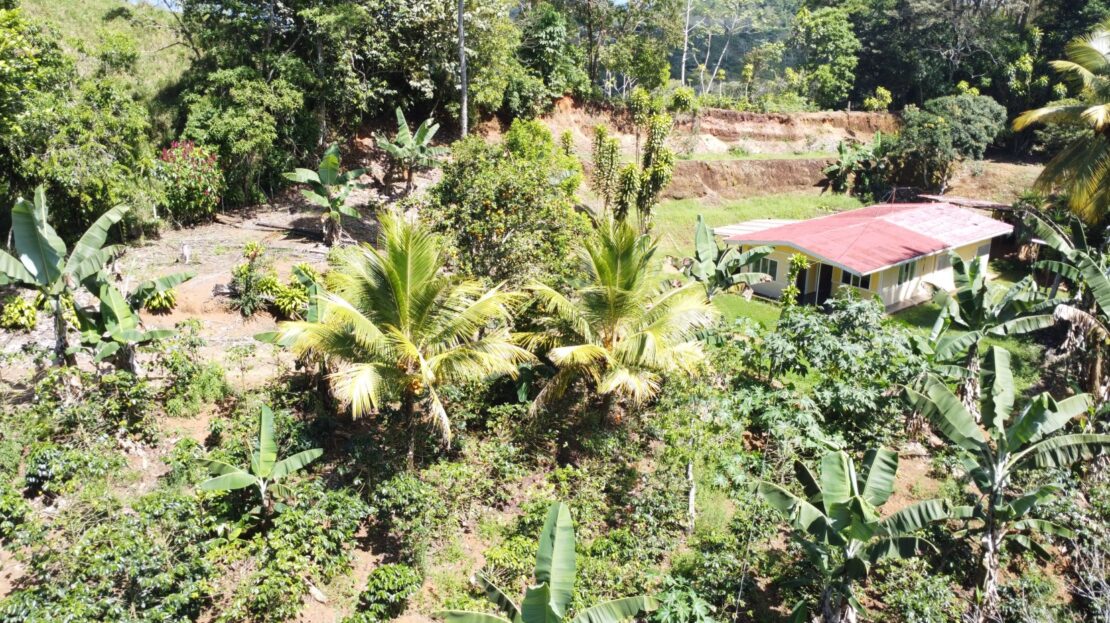San Pedro