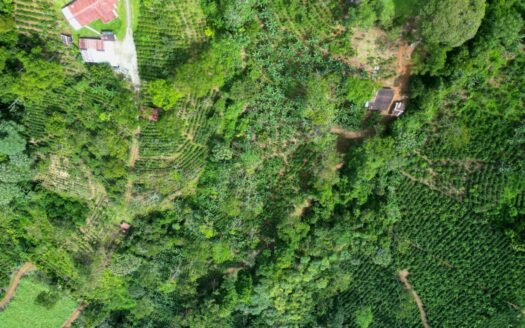 Beautiful land ( 2 hectares / 5 acres) with the best Location in Santa Elena, Perez Zeledon