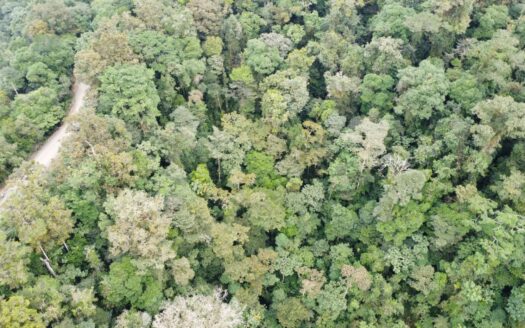 Secluded Eco-Farm in Las Nubes, Costa Rica – 31 Hectares with Natural Springs & Old-Growth Forest, Perez Zeledon.