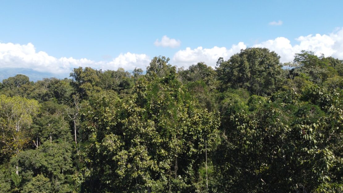 Costa Rica Real Estate