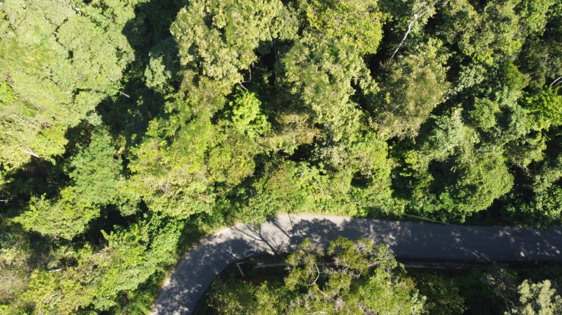 Over 7 hectares