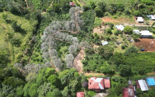 This Is The Lot ( 3 acres) For Sale In Santa Elena Del General, San Jose, You Are Looking For!!