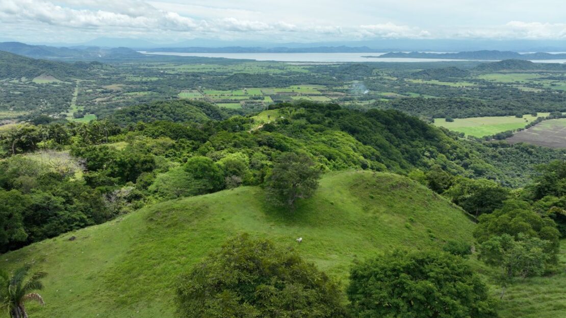 Costa Rica Real Estate
