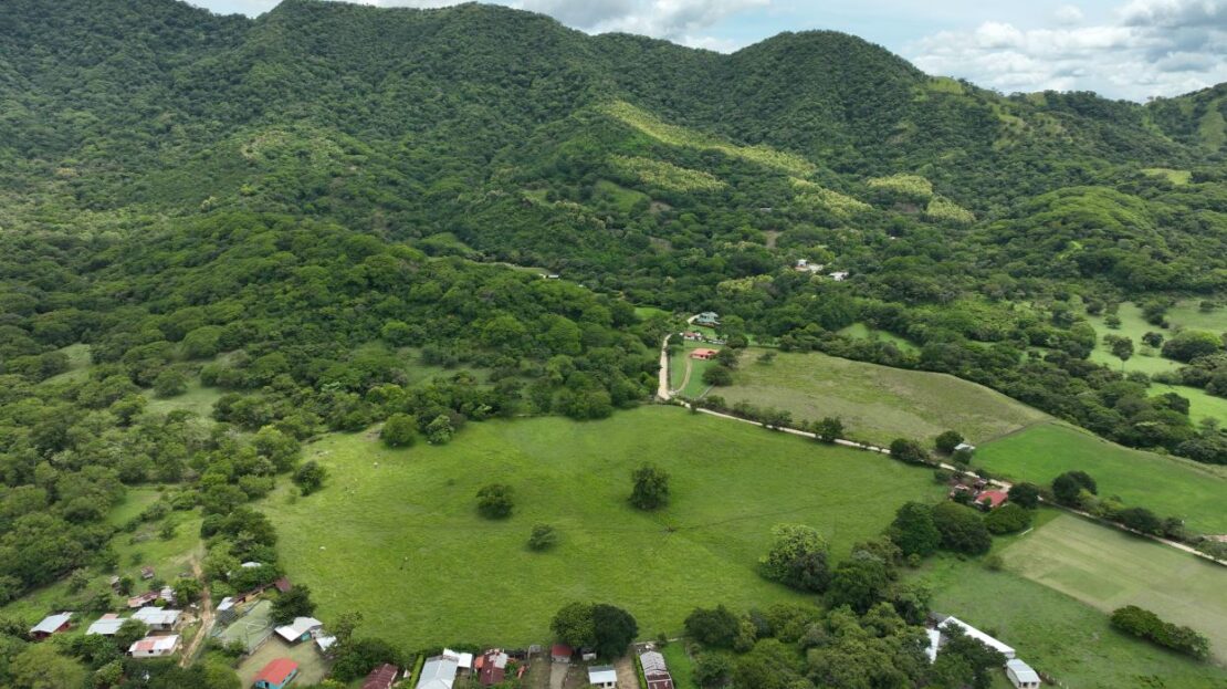 4.9 Hectare Farm for Sale in San Antonio