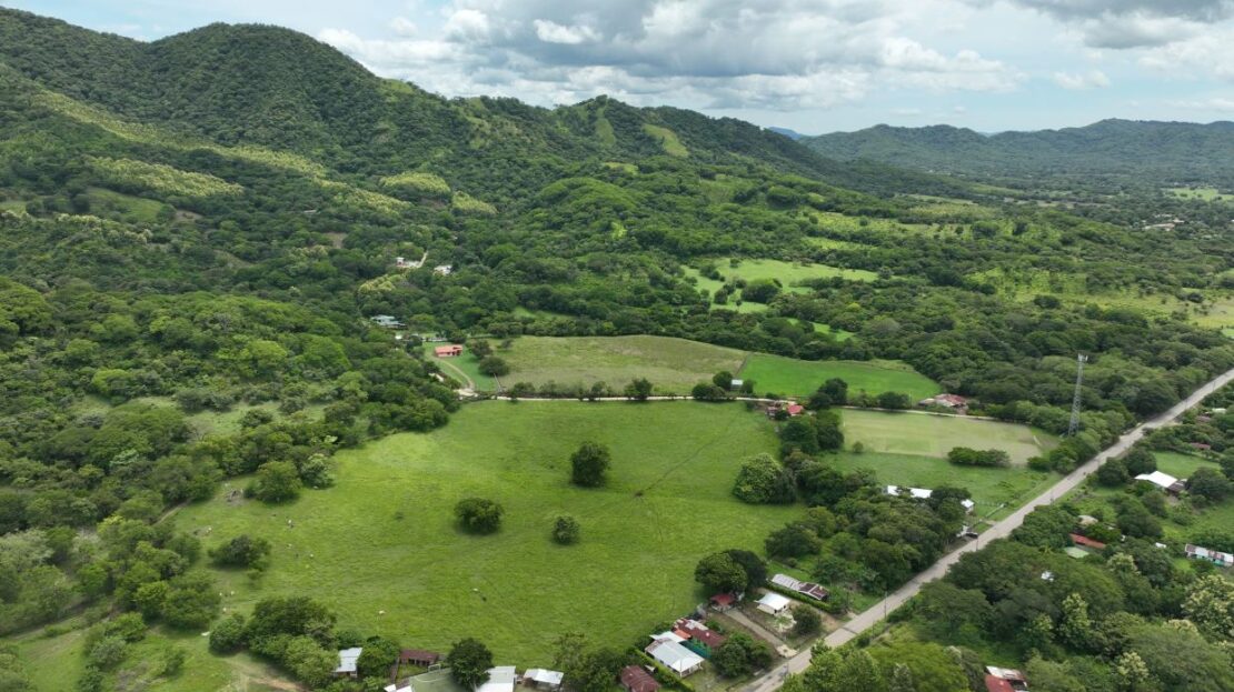Nicoya