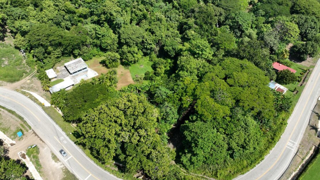Spacious Lot with House