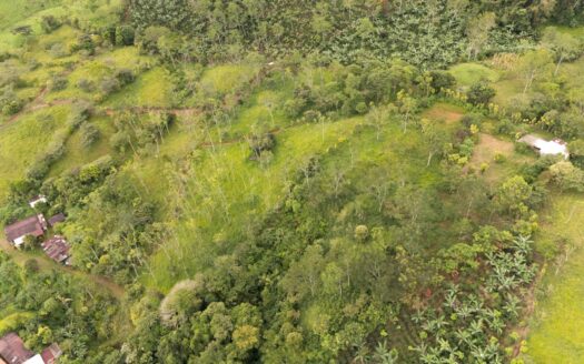 Humble home with 5+ Acres with Springs, Creek & Mountain Views in San Antonio de Rivas, Pérez Zeledón