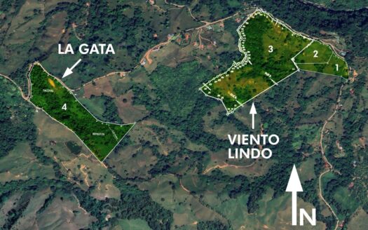 Savegre de Quepos