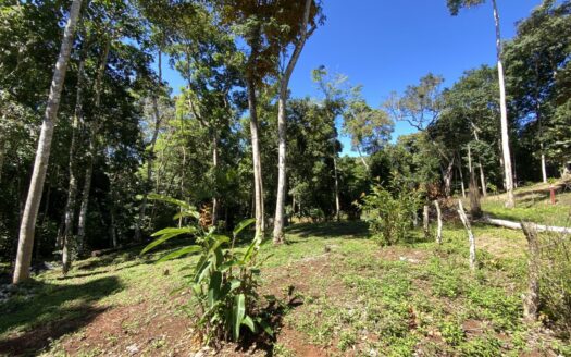 Irresistibly Lot for Sale At La Palma, Pérez Zeledón.