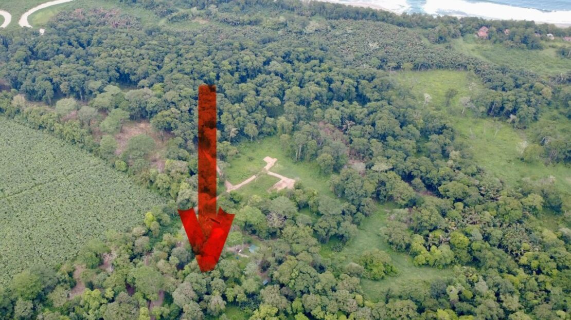 Beautiful Lot for Sale in Hone Creek