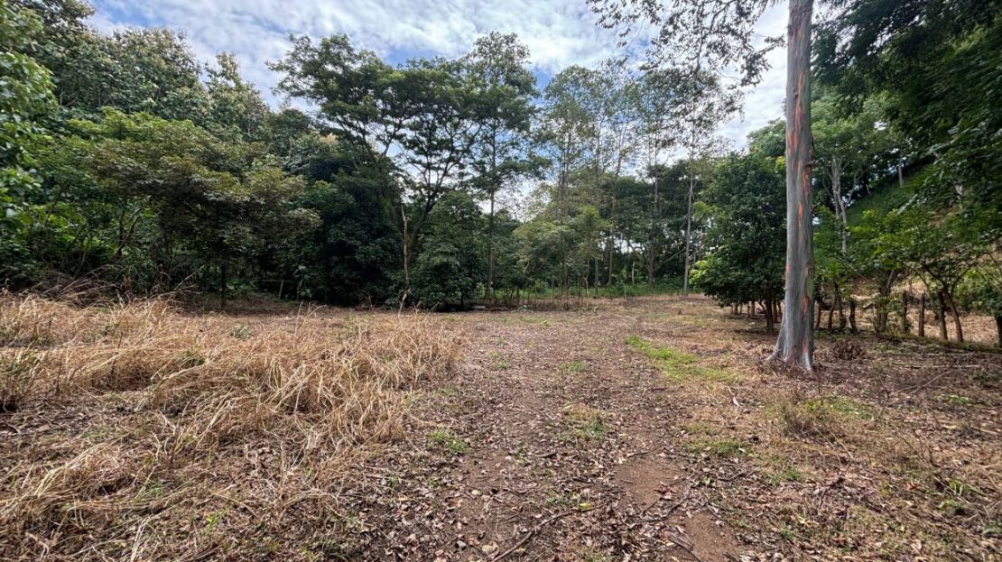 Costa Rica Real Estate