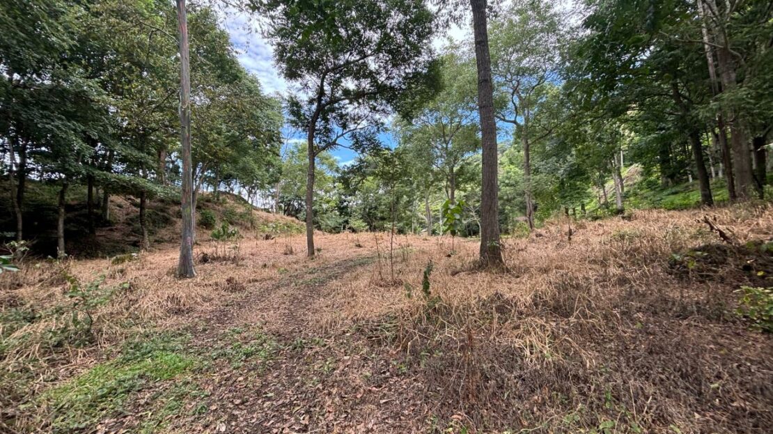 New premier lots in the private community of Las Rocas