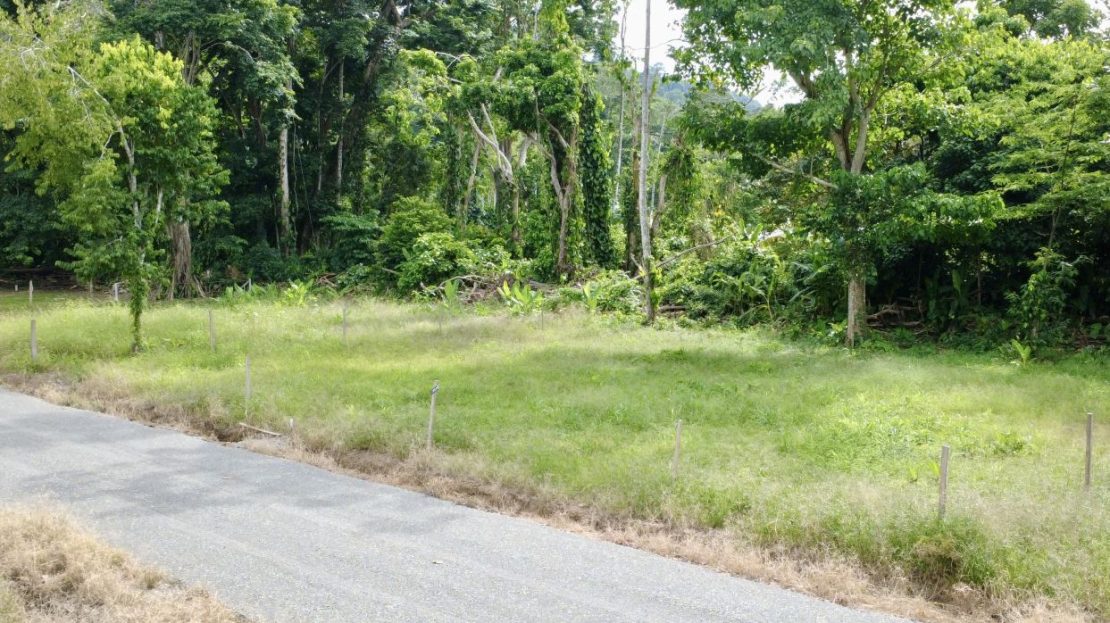 Costa Rica Real Estate